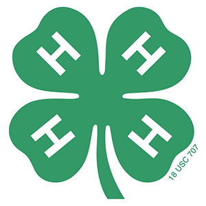 4-H Youth